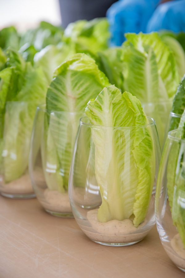 Elsberg Photography & Destination Caldwell