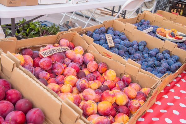 Elsberg Photography & Destination Caldwell