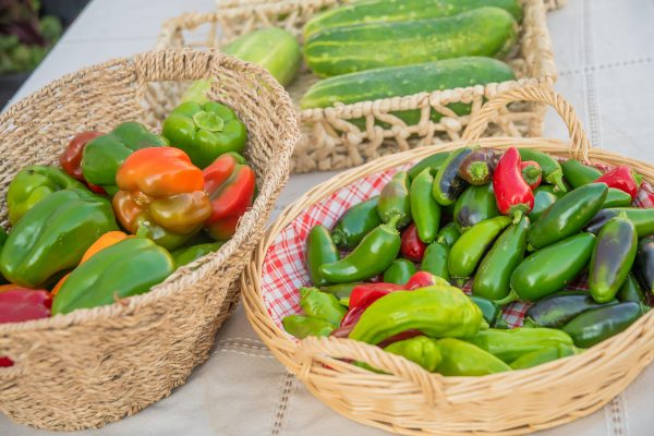 Elsberg Photography & Destination Caldwell