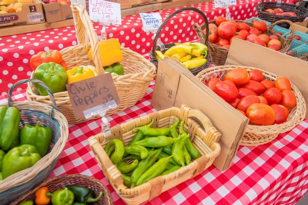 Elsberg Photography & Destination Caldwell