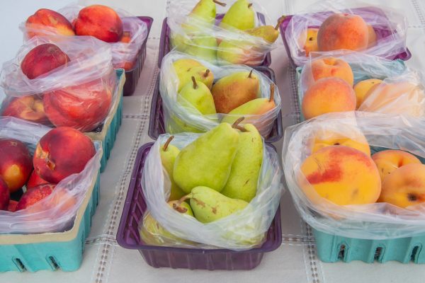 Elsberg Photography & Destination Caldwell