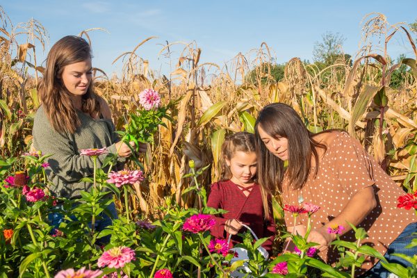 Elsberg Photography & Destination Caldwell