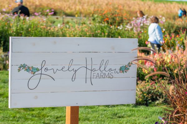 Elsberg Photography & Destination Caldwell