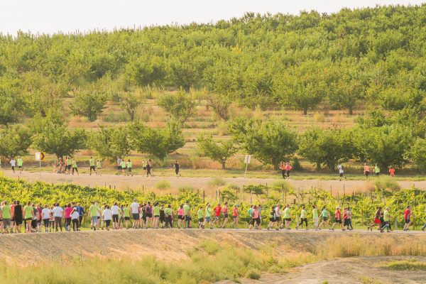 Elsberg Photography & Destination Caldwell