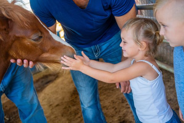 Elsberg Photography & Destination Caldwell