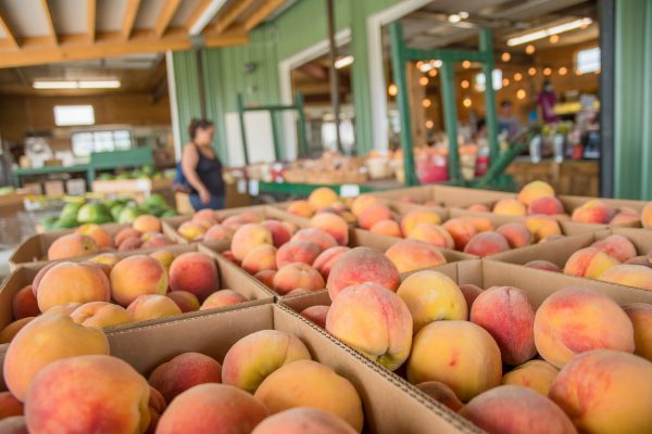 Elsberg Photography & Destination Caldwell