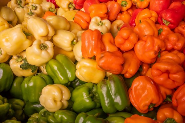 Elsberg Photography & Destination Caldwell