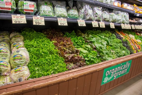 Elsberg Photography & Destination Caldwell