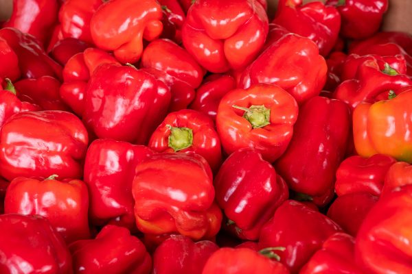 Elsberg Photography & Destination Caldwell