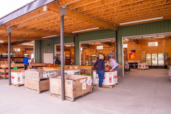 Elsberg Photography & Destination Caldwell