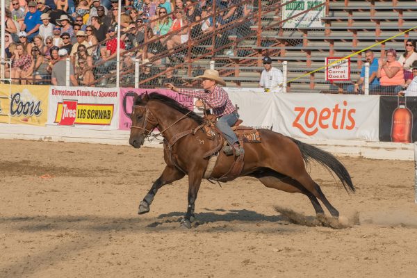 Elsberg Photography & Destination Caldwell