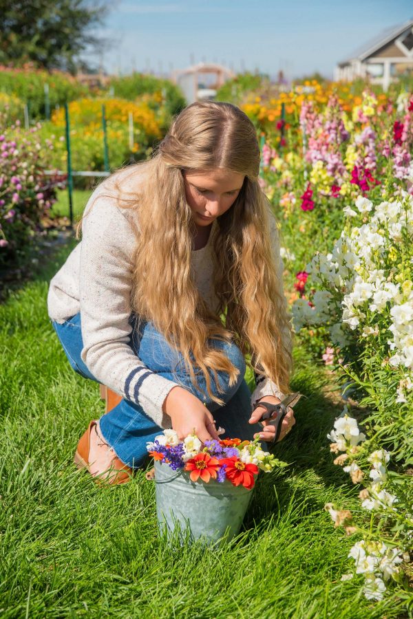 Elsberg Photography & Destination Caldwell