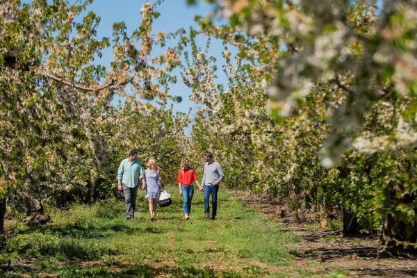 Elsberg Photography & Destination Caldwell