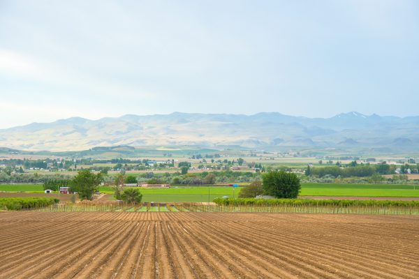 Elsberg Photography & Destination Caldwell