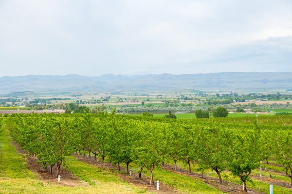 Elsberg Photography & Destination Caldwell